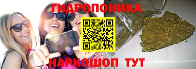 стафф Заводоуковск